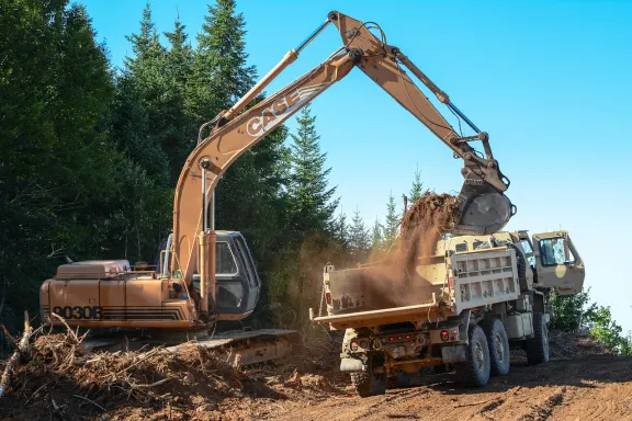 Dendy Cazino Cazinou Suport